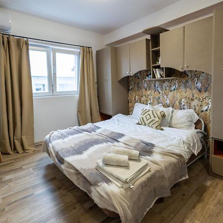 Cozy Studio Retreat - Quiet, Premium Stay Timișoara Zewnętrze zdjęcie